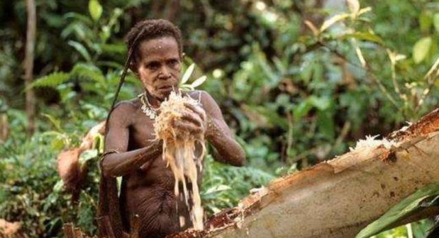 印尼仅存的野人部落，摘芭蕉叶当衣服，与世隔绝！