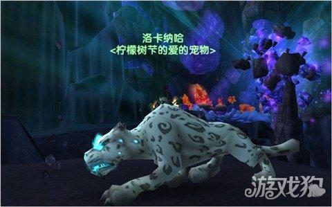 魔兽世界猎人宝宝怎么选？详细猎人宝宝选择攻略