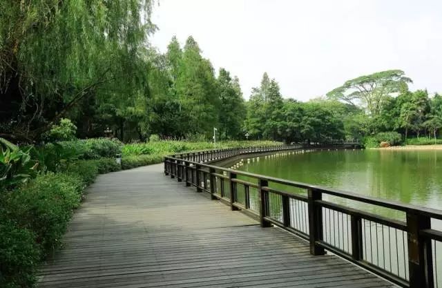 太全了！深圳54个最适合一日游的免费景点，你去过几个？