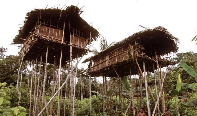 印尼仅存的野人部落，摘芭蕉叶当衣服，与世隔绝！
