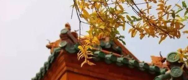 为什么说北京的秋天最美？