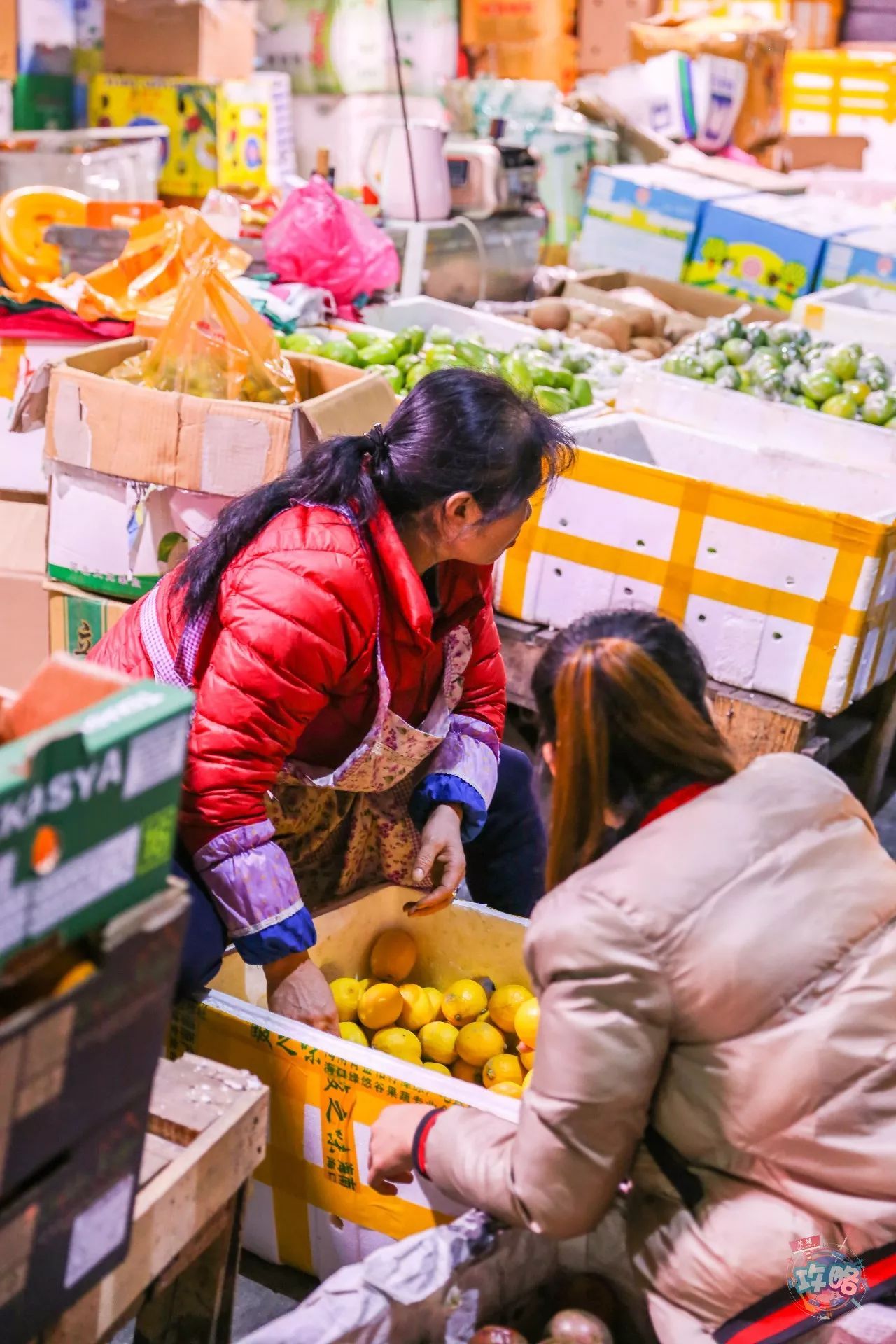 广州最大水果批发市场攻略，请打开感受一万斤甜甜甜蜜！