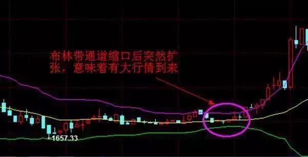 一位资深老股民坦言：中国股市下一轮牛市应该会在什么时候？