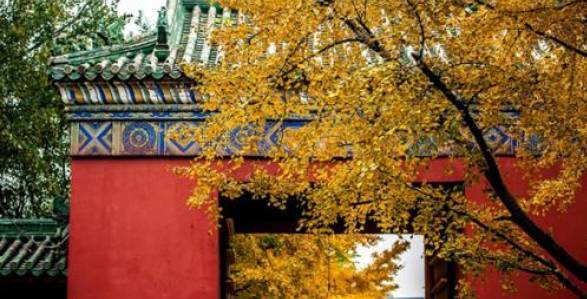 为什么说北京的秋天最美？