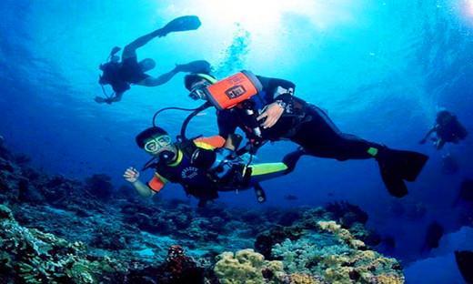 海南这4个潜水胜地：千万游客慕名而来，只为搭讪这片海