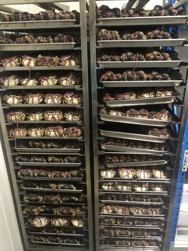 阿里员工吃掉500只烤鸡、2600份栗子、3000只大闸蟹……